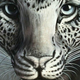 Illustration for article titled This Snow Leopard Has a Naked Lady On It